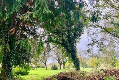 Propriété - 275 m² - 11 pièces