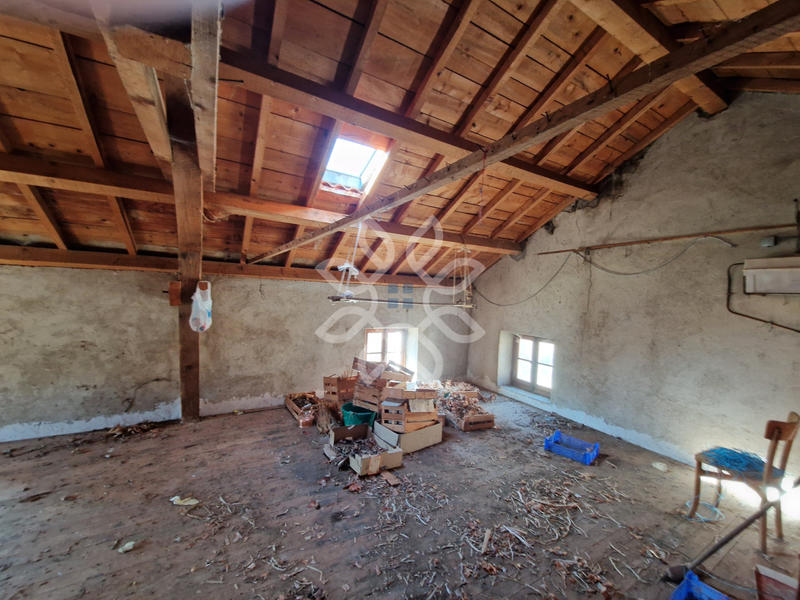 Propriété - 300 m² - 10 pièces