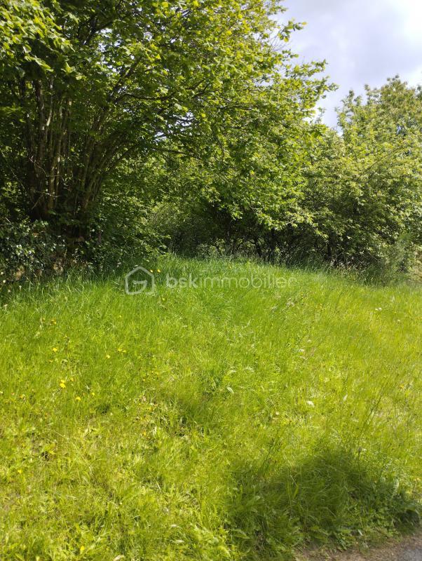 Corps de ferme - 160 m² - 7 pièces