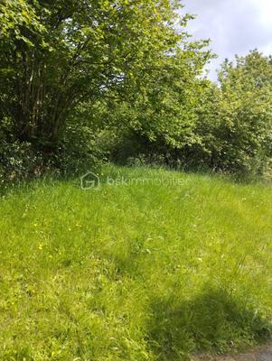 Corps de ferme - 160 m² - 7 pièces