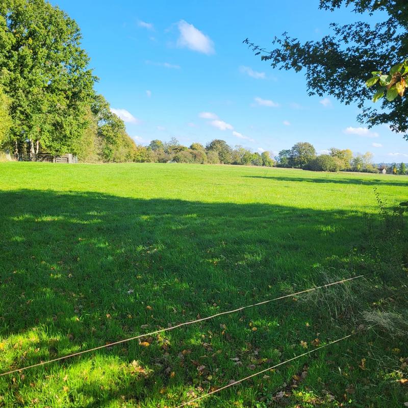 Maison - 87 m² - 5 pièces