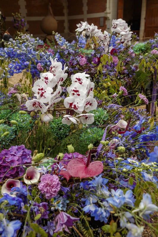 Quand fleurir est un art au Château de Chaumont-sur-Loire