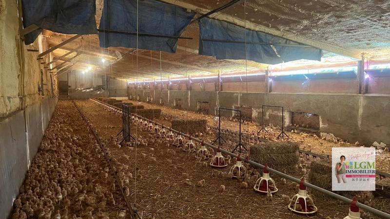 Maison - 175 m² - 7 pièces