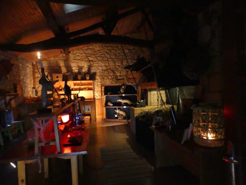 Grand jeu d'Halloween à Terres d'oiseaux