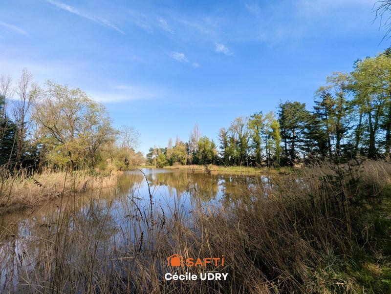 Terrain - 11 472 m²