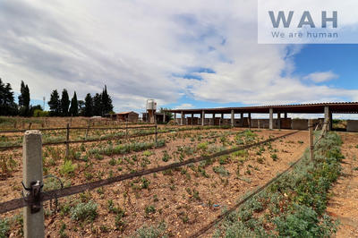 Terrain agricole - 2 474 m²