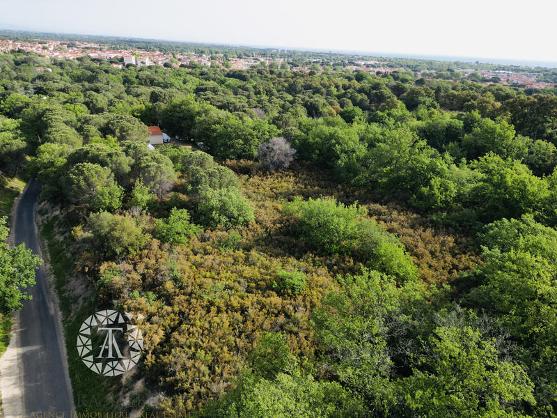 Terrain agricole - 2 600 m²