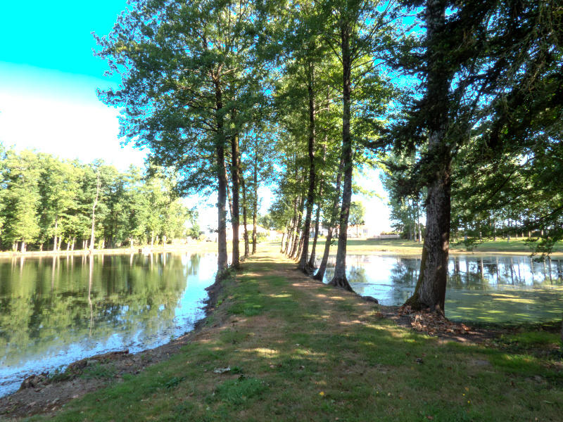 Terrain de loisirs - 13 512 m²