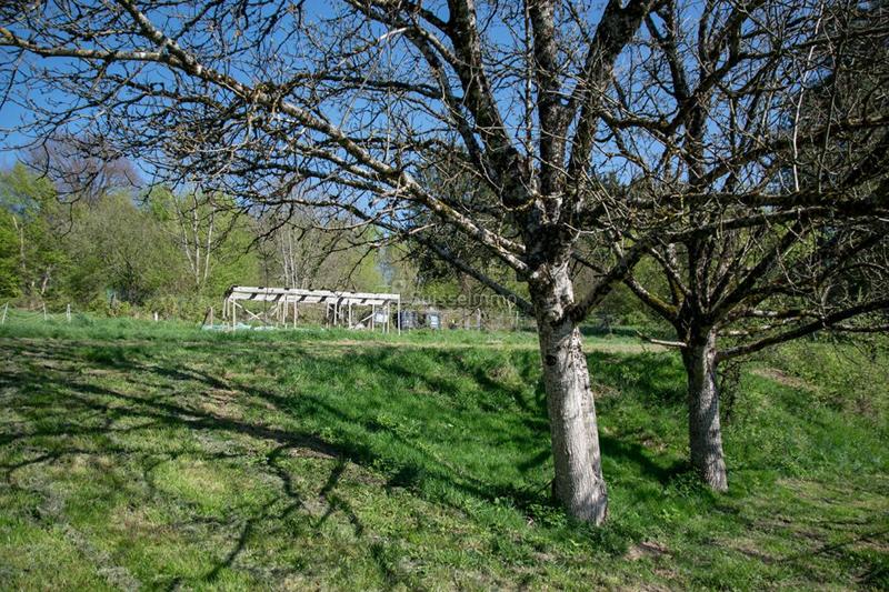 Maison - 96 m² - 5 pièces