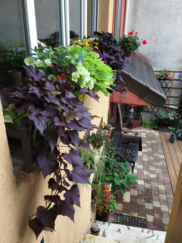 Pavillon - 76 m² - 4 pièces