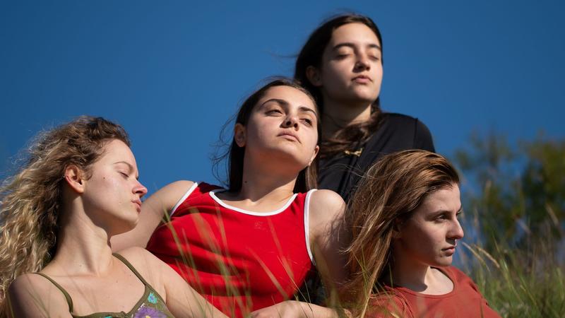 Ciné-Club Ccer Tréguier - la colline où rugissent les lionnes