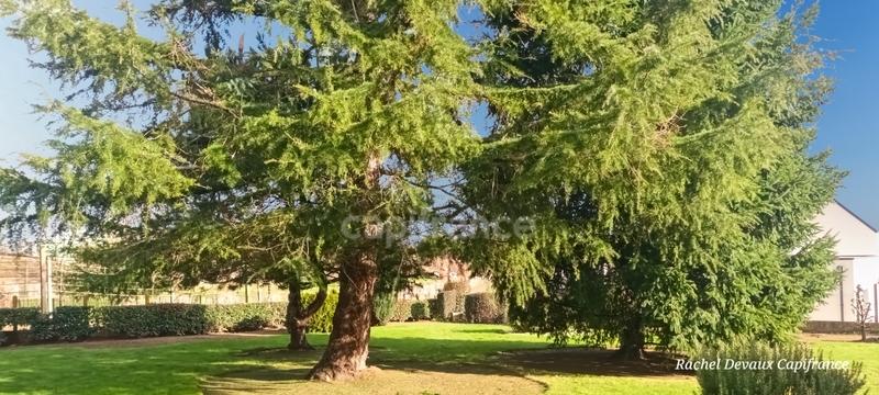 Maison - 184 m² - 8 pièces