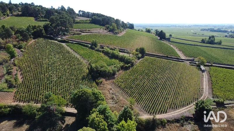 Local commercial - 1 458 m²