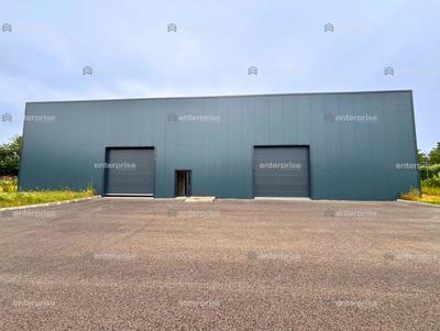Local d'activité / Entrepôt - 500 m²
