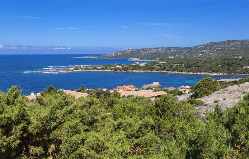 Appartement - 50 m² - 3 pièces