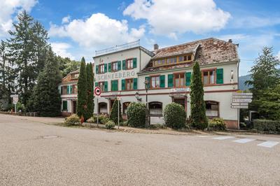 Maison - 600 m² - 19 pièces