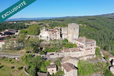 Château - 800 m² - 15 pièces