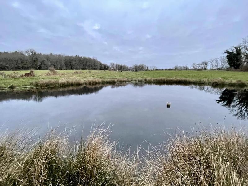 Maison de domaine équestre - 415 m²