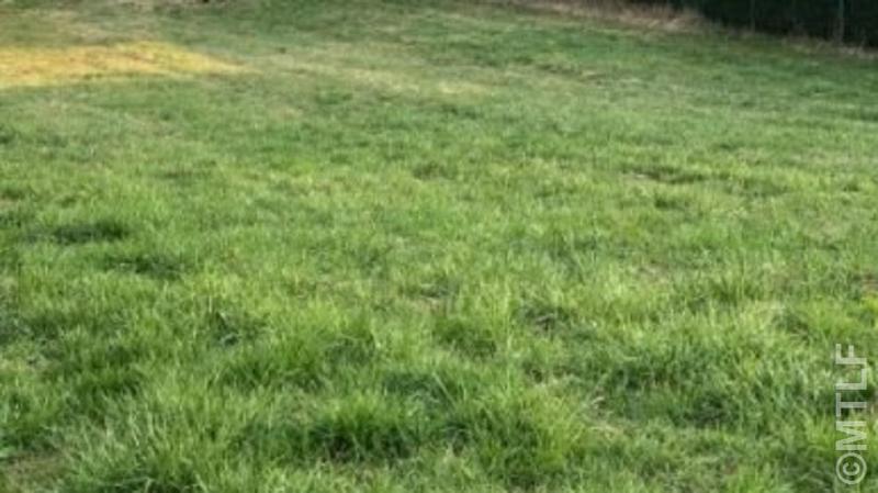 Terrain constructible - 1 000 m²