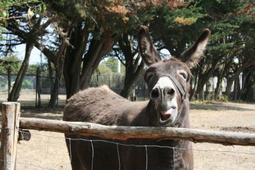 Manoir de l'Espérance