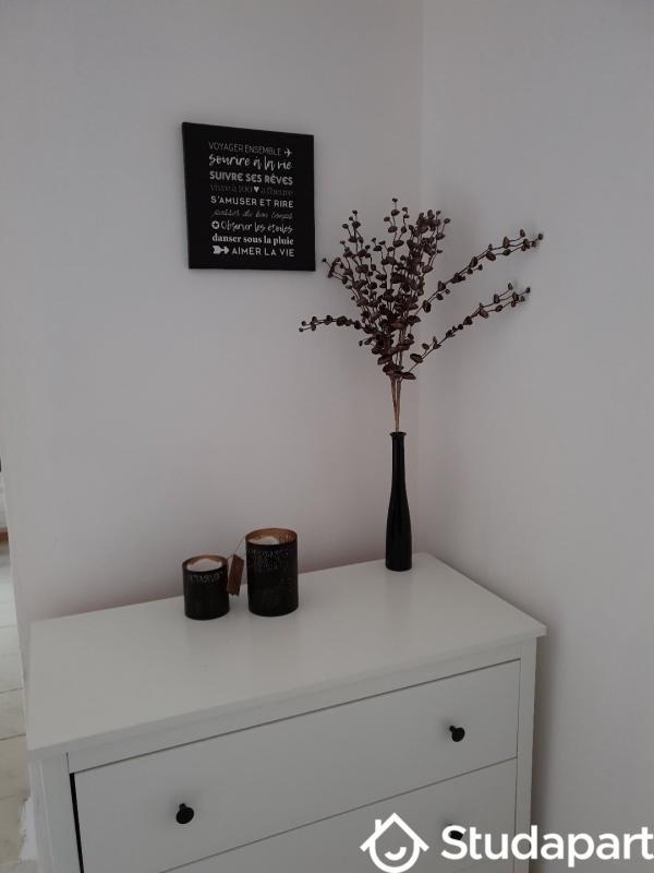 Appartement - 37 m² - 2 pièces