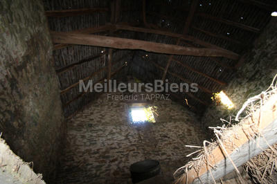 Ferme - 300 m²