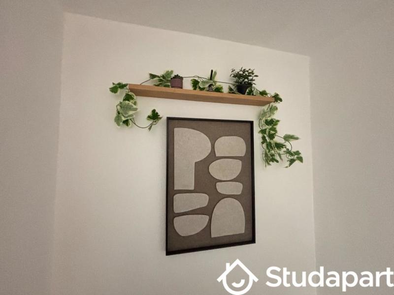 Appartement - 12 m² - 1 pièce