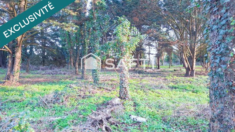 Maison - 80 m² - 3 pièces