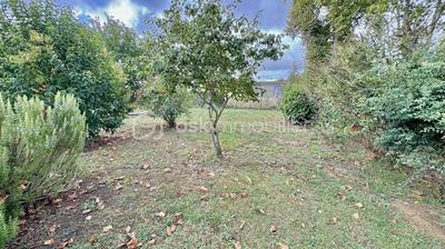 Terrain constructible - 385 m²