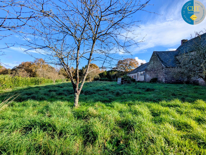 Maison - 270 m² - 6 pièces