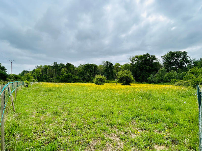 Maison - 148 m² - 5 pièces