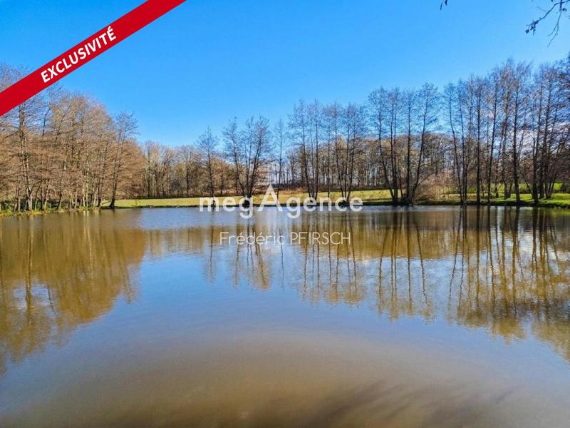 Terrain de loisirs - 7 020 m²