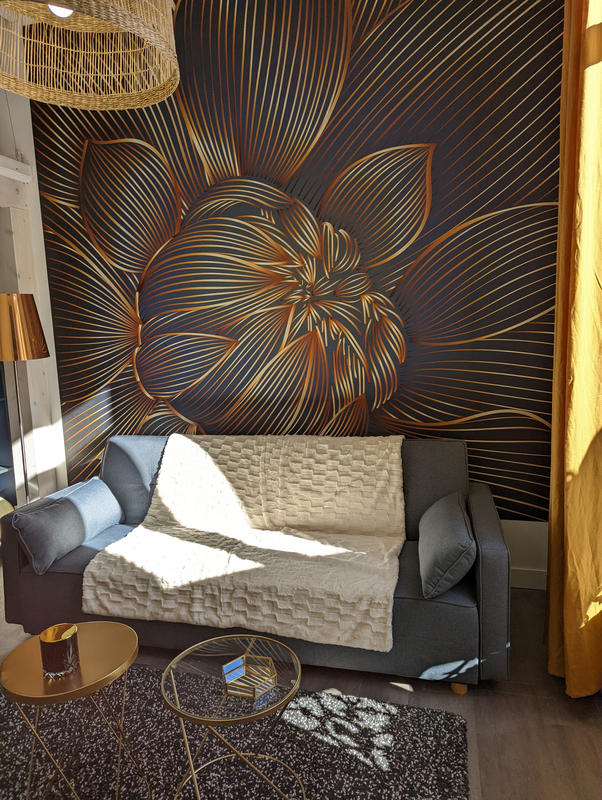 Appartement - 22 m² - 1 pièce