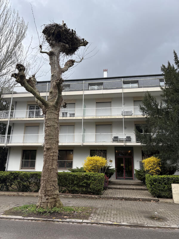 Appartement - 85 m² - 3 pièces