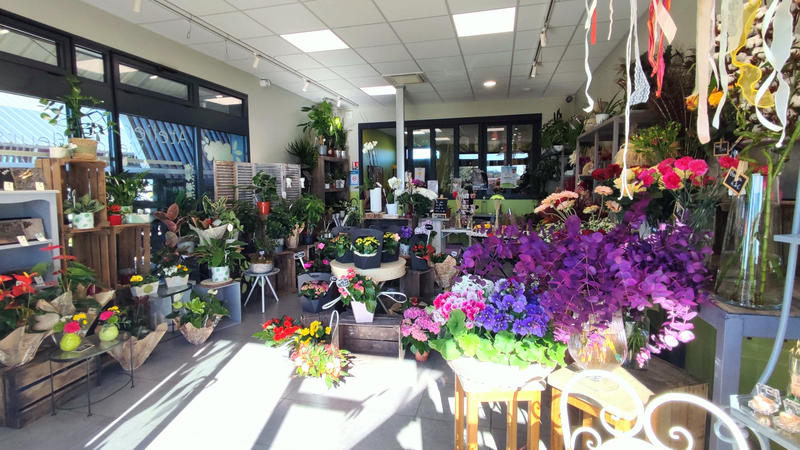 Fonds de commerce - Magasins - 64 m²