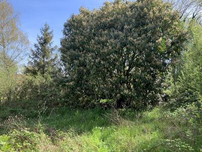 Maison de village - 56 m² - 2 pièces