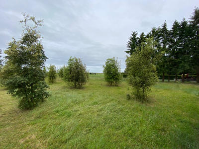 Terrain - 800 m²