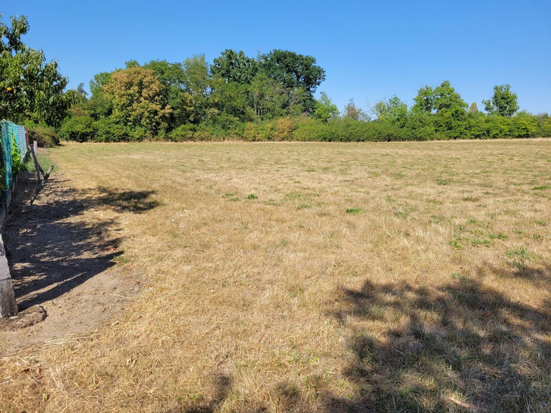 Terrain - 18 805 m²