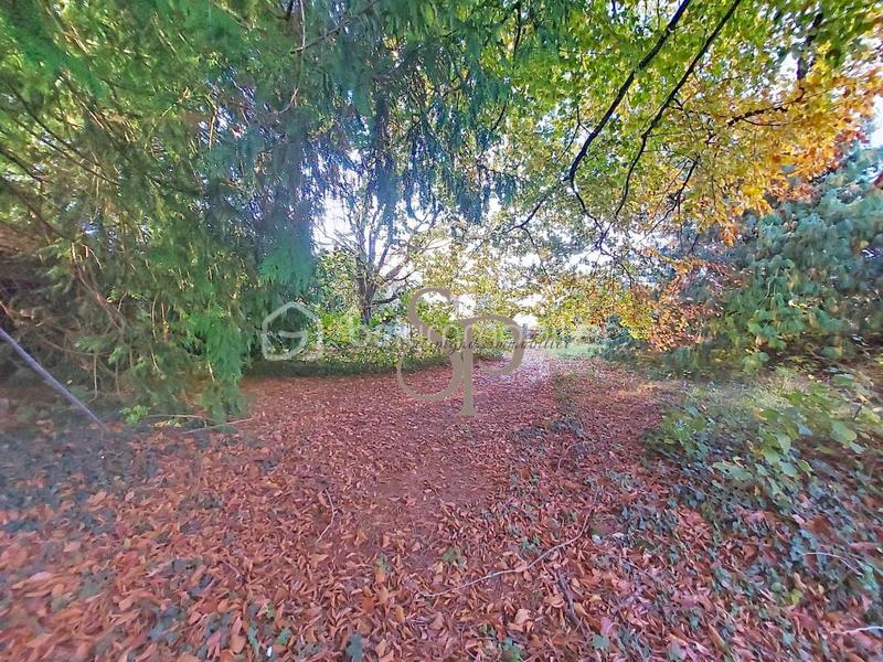 Maison en pierre - 190 m² - 8 pièces