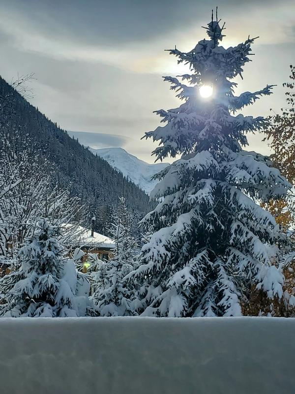 Châlet - 170 m² - 5 pièces