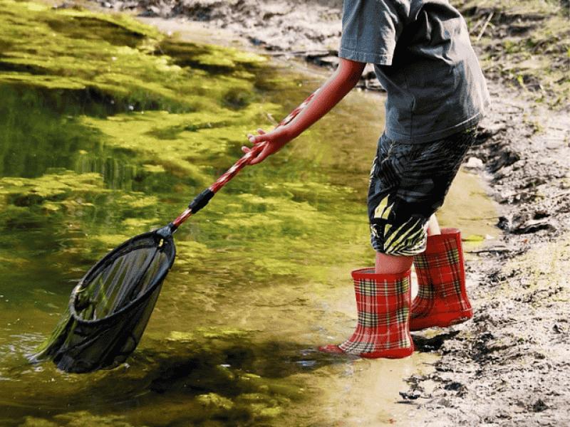 Découverte nature en famille - Approche sensorielle de la rivière