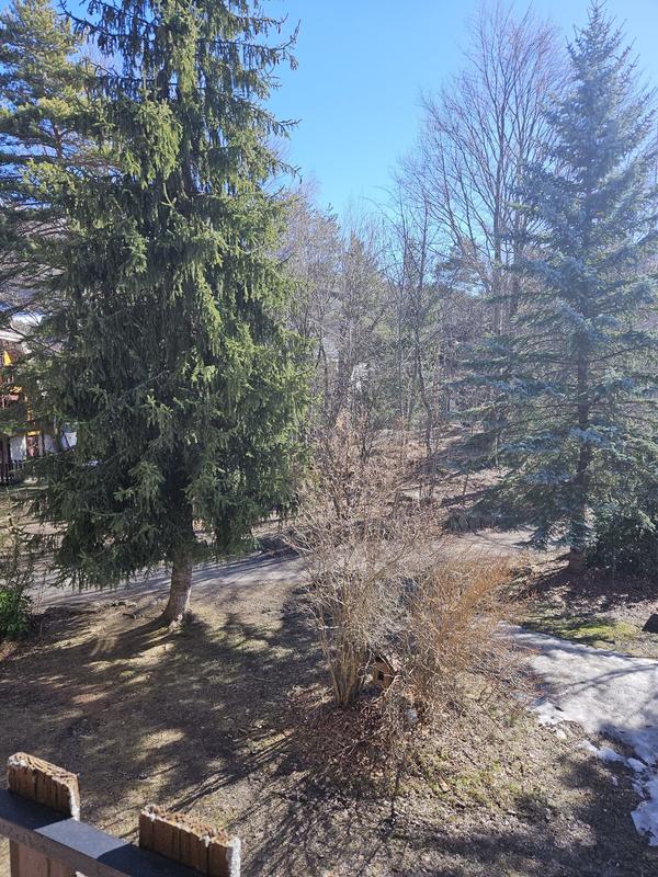 Appartement - 25 m² - 1 pièce