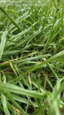 Terrain constructible - 235 m²