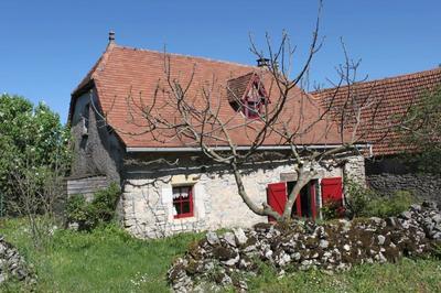 Maison en pierre - 48 m² - 2 pièces