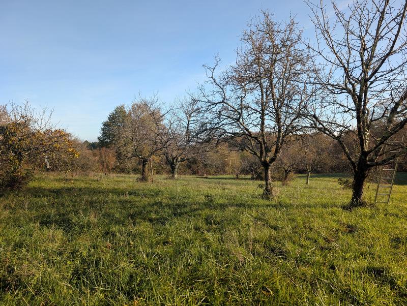 Terrain constructible - 1 012 m²