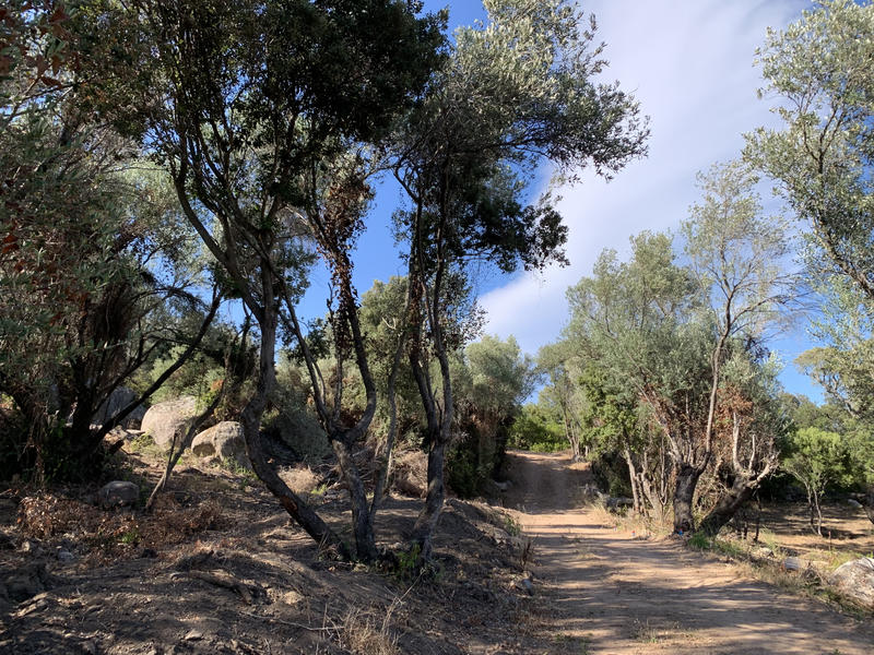 Villa - 102 m² - 4 pièces