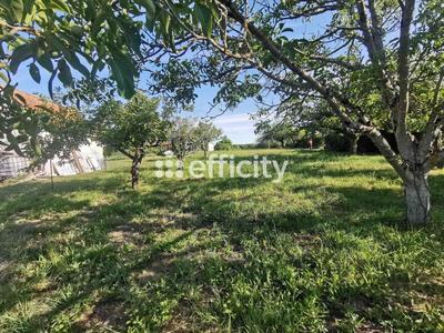 Terrain constructible - 1 505 m²