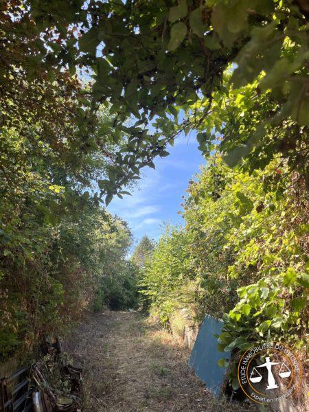 Terrain constructible - 1 460 m²