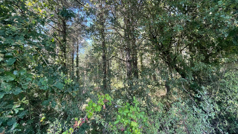 Terrain - 422 862 m²