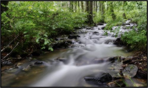 Gîtes de France Ardennes